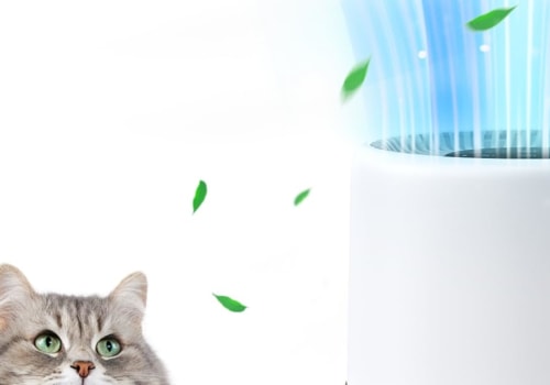 Practical Tips on How to Clear Out Dog and Cat Pet Dander in Home